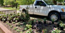 Facilities truck on campus walk next to flower beds