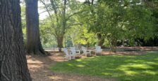 Jefferson Square Willow Oaks and chairs