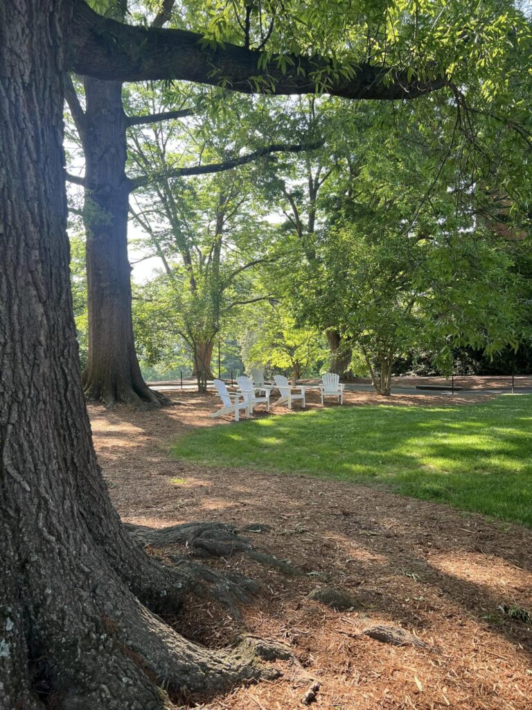 Jefferson Square Willow Oaks and chairs