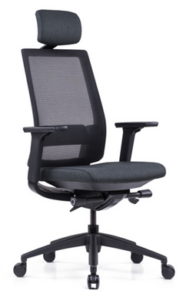 discontinued palma with headreast chair