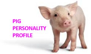 pig-personality-profile